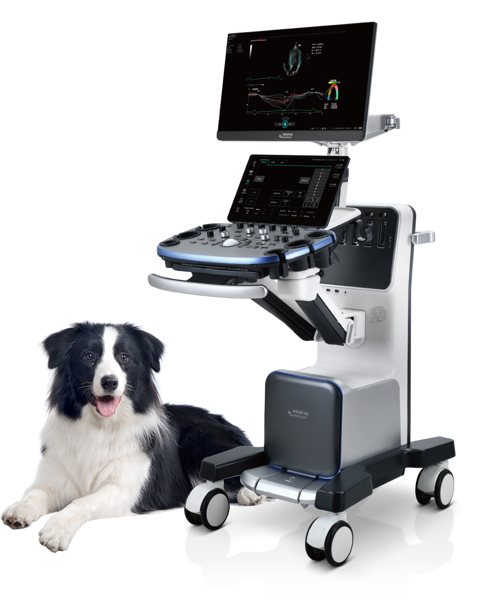 Mindray Vetus 9 veteriner ultrasonografi ve ekokardiyografi sistemi